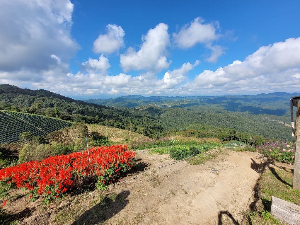 Samoeng nach Pai (3)