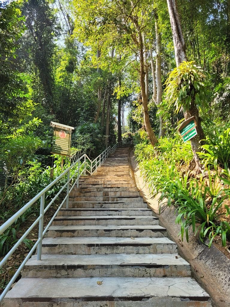 Wat tham pha plong (1)